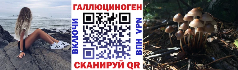 Галлюциногенные грибы Cubensis  Мыски 