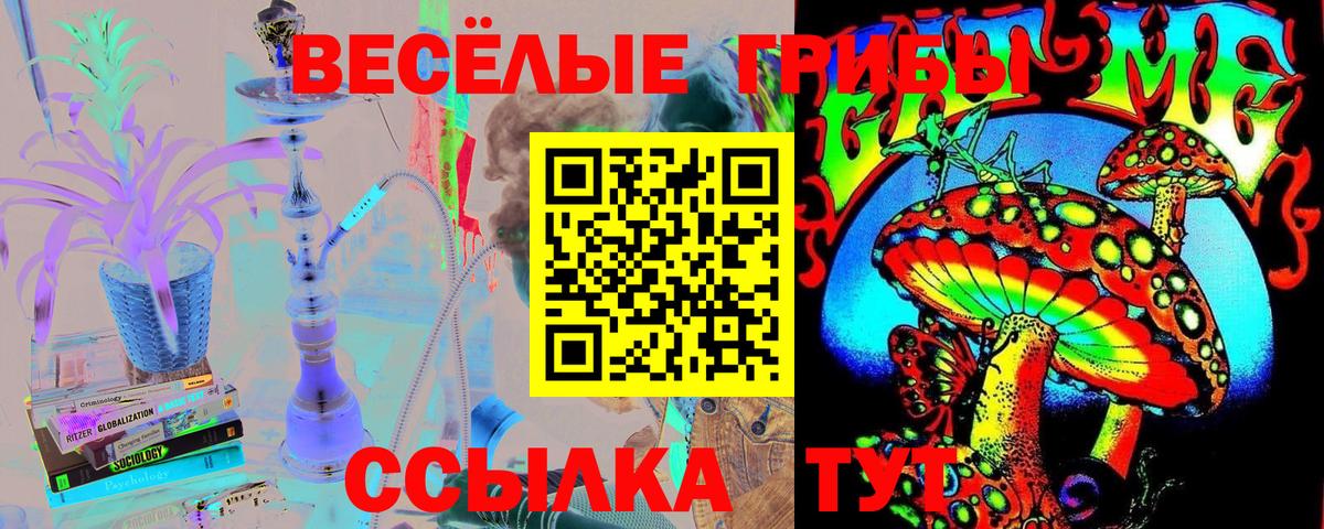 Псилоцибиновые грибы мицелий  Вход с VPN  Мыски  Псилоцибиновые грибы Cubensis 
